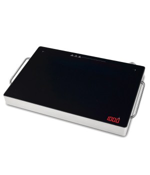 Countertop Induction Warming Tray